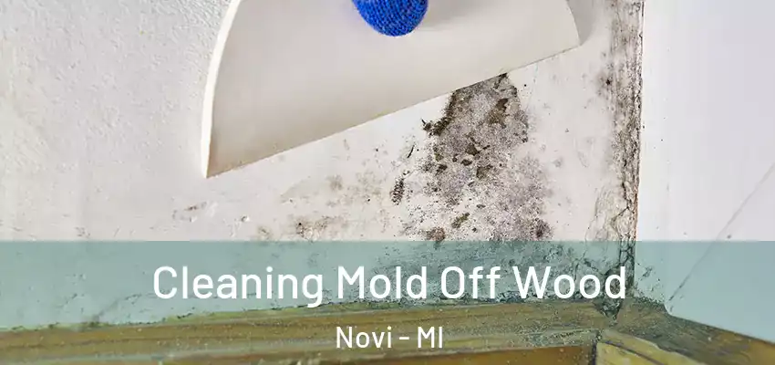  Cleaning Mold Off Wood Novi - MI