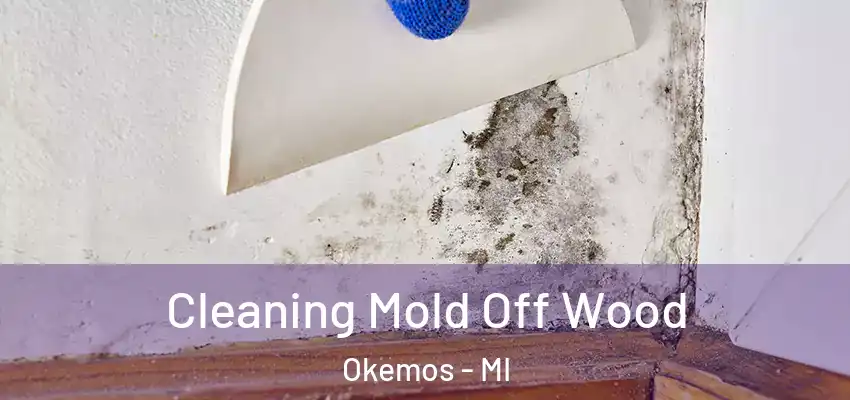 Cleaning Mold Off Wood Okemos - MI