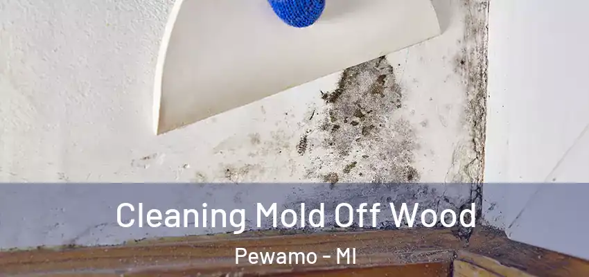  Cleaning Mold Off Wood Pewamo - MI