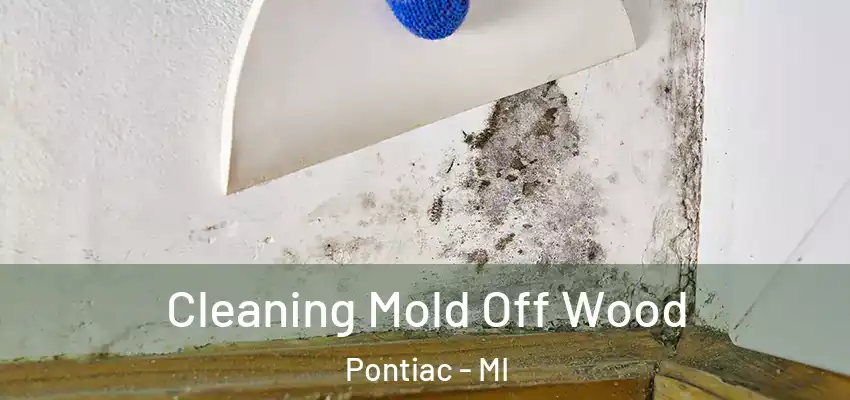  Cleaning Mold Off Wood Pontiac - MI
