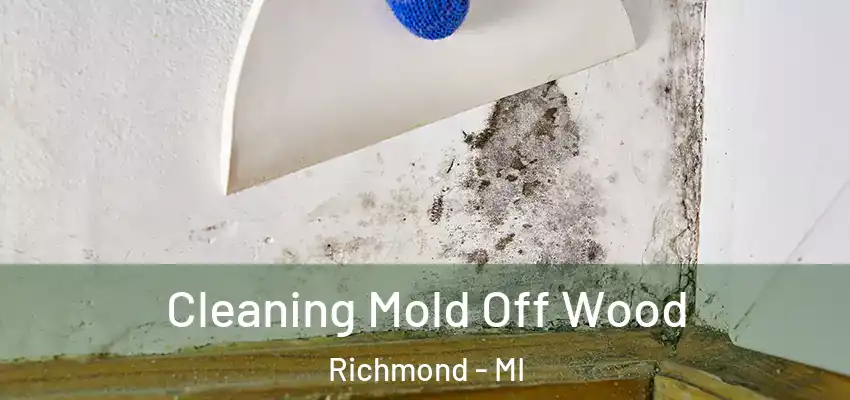  Cleaning Mold Off Wood Richmond - MI