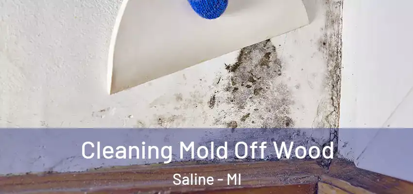 Cleaning Mold Off Wood Saline - MI
