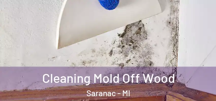  Cleaning Mold Off Wood Saranac - MI