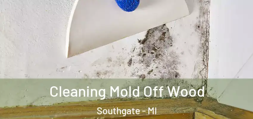  Cleaning Mold Off Wood Southgate - MI
