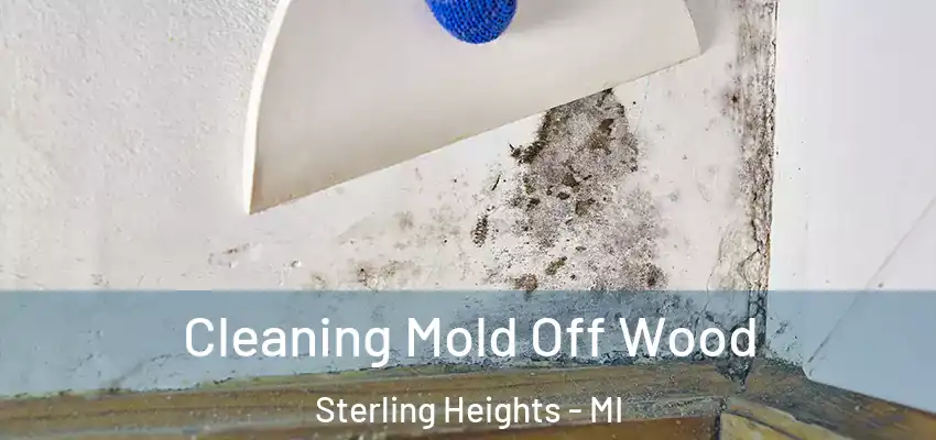  Cleaning Mold Off Wood Sterling Heights - MI