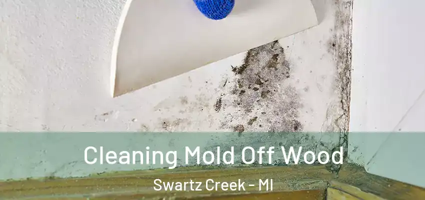  Cleaning Mold Off Wood Swartz Creek - MI