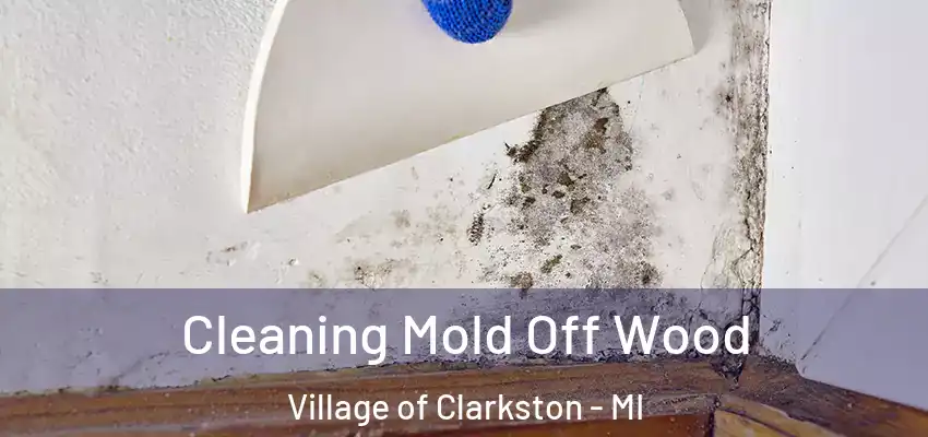  Cleaning Mold Off Wood Village of Clarkston - MI