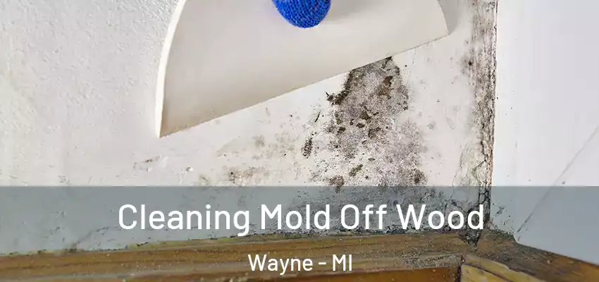  Cleaning Mold Off Wood Wayne - MI