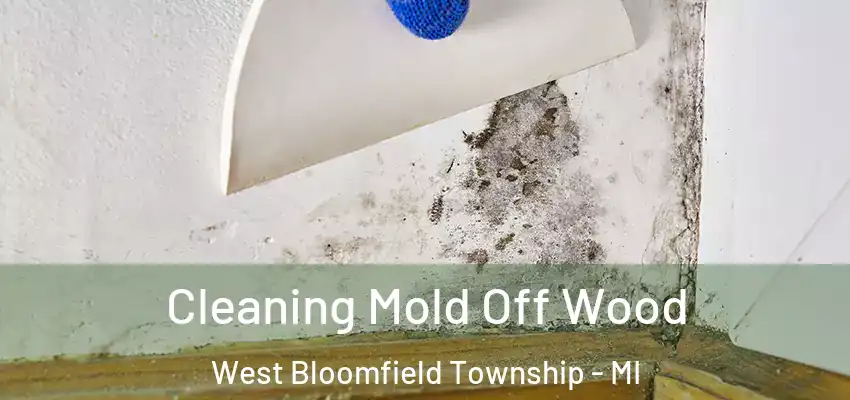  Cleaning Mold Off Wood West Bloomfield Township - MI