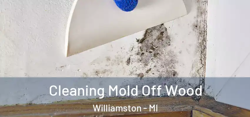 Cleaning Mold Off Wood Williamston - MI
