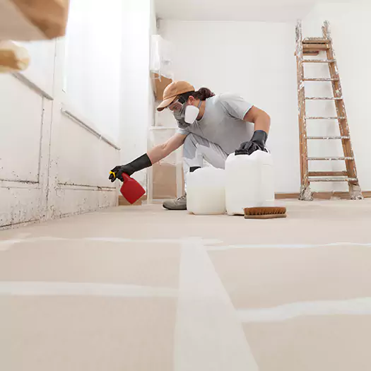 Reliable Mold Stain Remover Specialists in Ann Arbor, MI