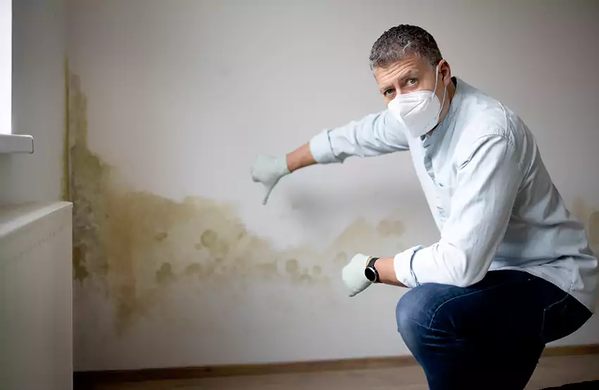 Mold Removal in Ann Arbor, MI