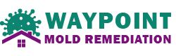 Waypoint Mold Remediation