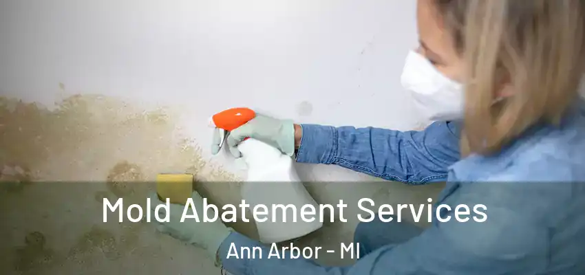  Mold Abatement Services Ann Arbor - MI