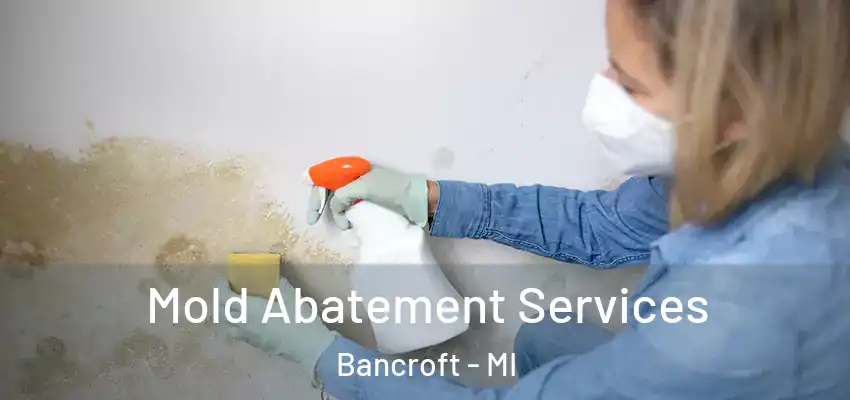  Mold Abatement Services Bancroft - MI