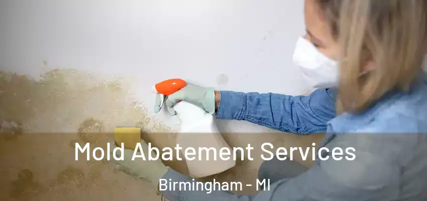  Mold Abatement Services Birmingham - MI