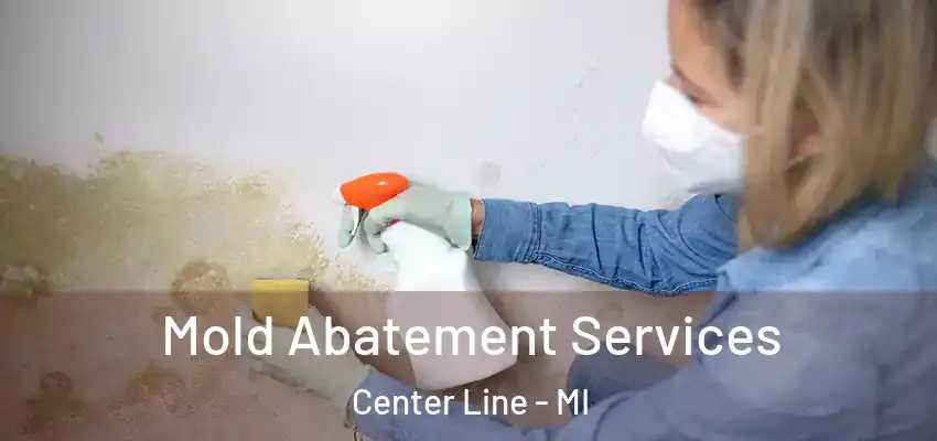  Mold Abatement Services Center Line - MI