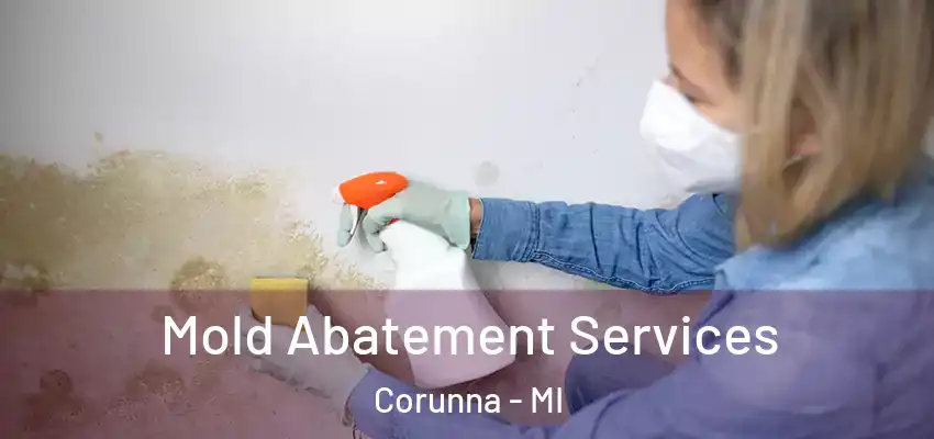  Mold Abatement Services Corunna - MI