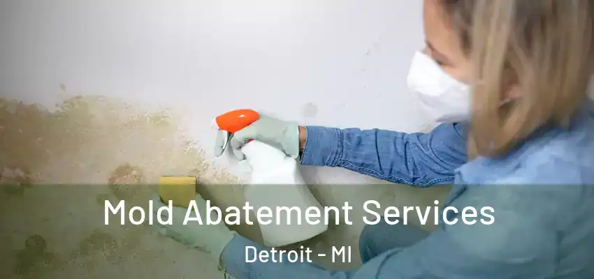  Mold Abatement Services Detroit - MI