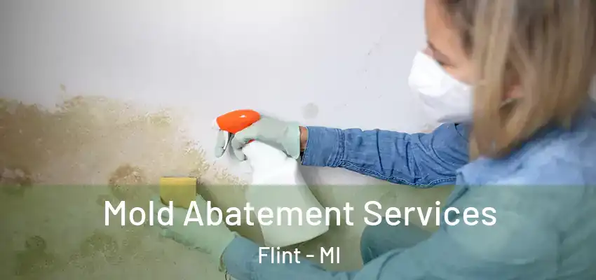  Mold Abatement Services Flint - MI