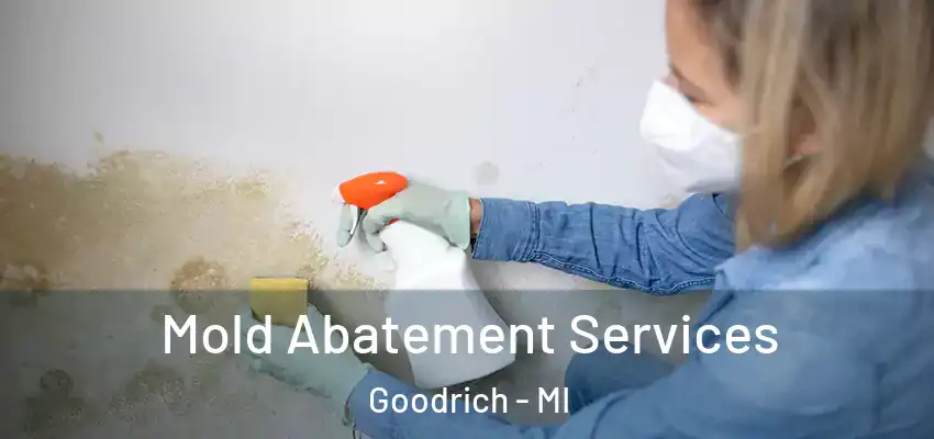  Mold Abatement Services Goodrich - MI