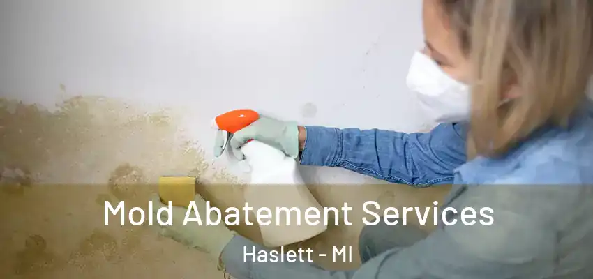  Mold Abatement Services Haslett - MI