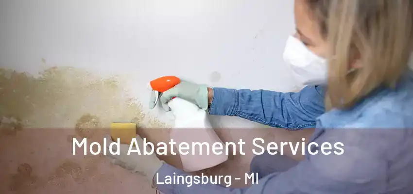  Mold Abatement Services Laingsburg - MI