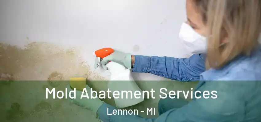  Mold Abatement Services Lennon - MI