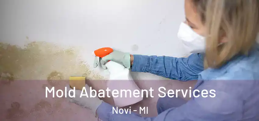  Mold Abatement Services Novi - MI