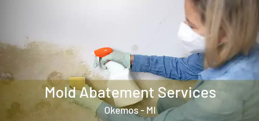  Mold Abatement Services Okemos - MI