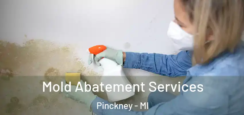  Mold Abatement Services Pinckney - MI