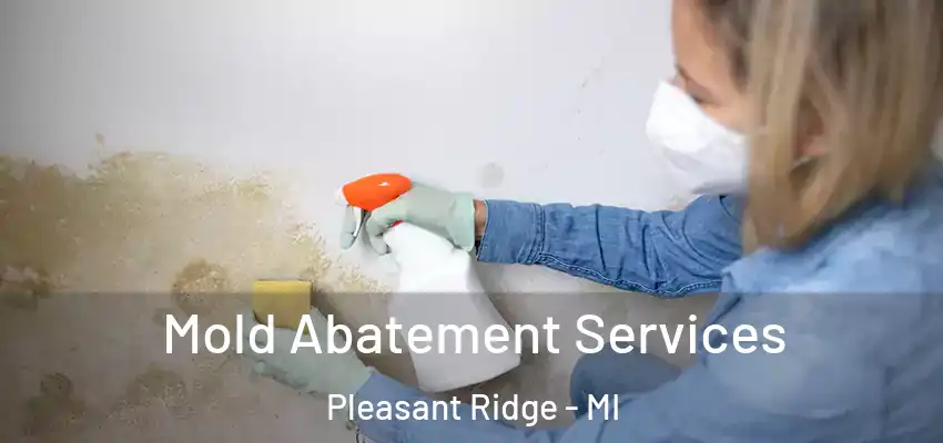  Mold Abatement Services Pleasant Ridge - MI