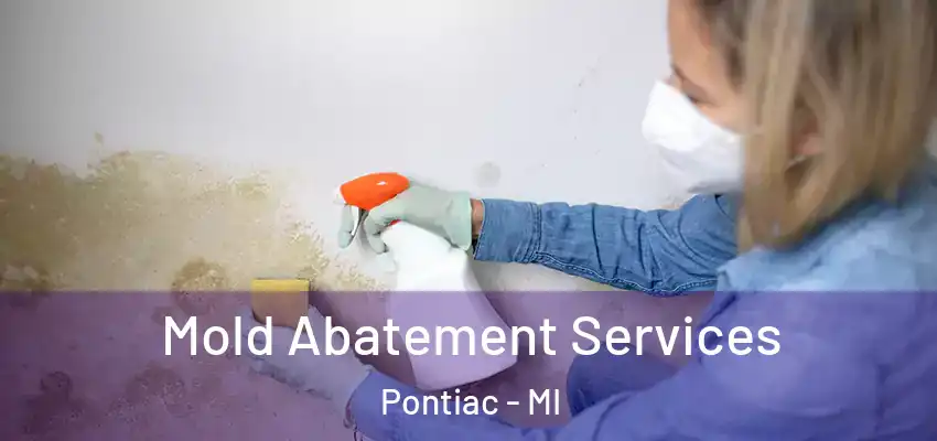  Mold Abatement Services Pontiac - MI
