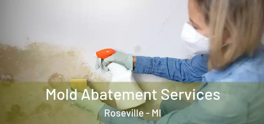 Mold Abatement Services Roseville - MI