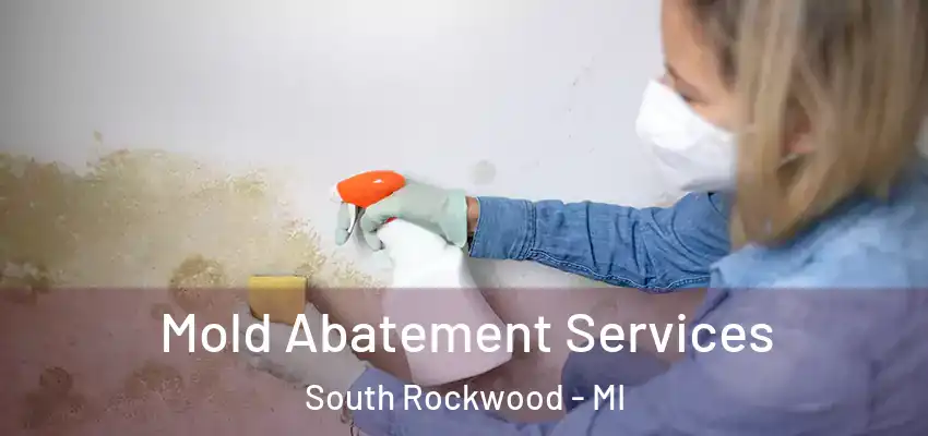  Mold Abatement Services South Rockwood - MI