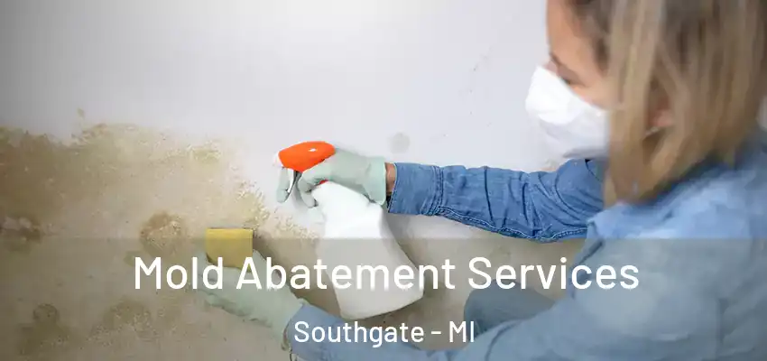  Mold Abatement Services Southgate - MI