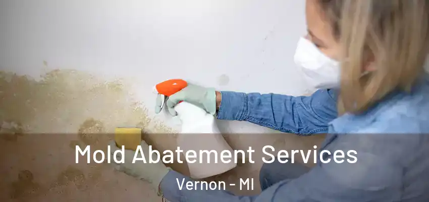  Mold Abatement Services Vernon - MI