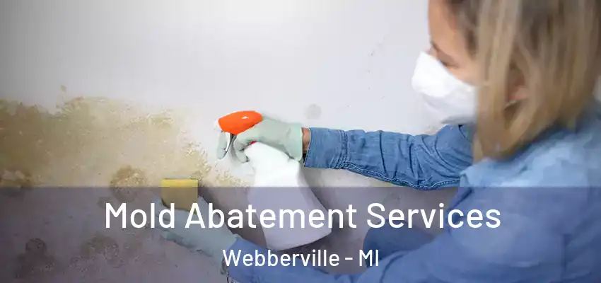  Mold Abatement Services Webberville - MI