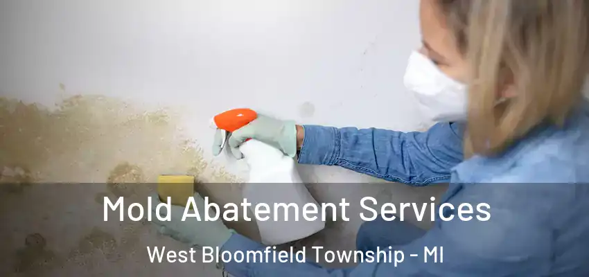  Mold Abatement Services West Bloomfield Township - MI
