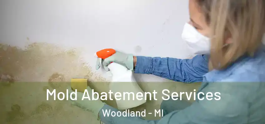 Mold Abatement Services Woodland - MI