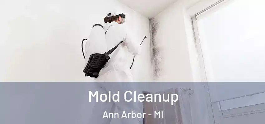  Mold Cleanup Ann Arbor - MI