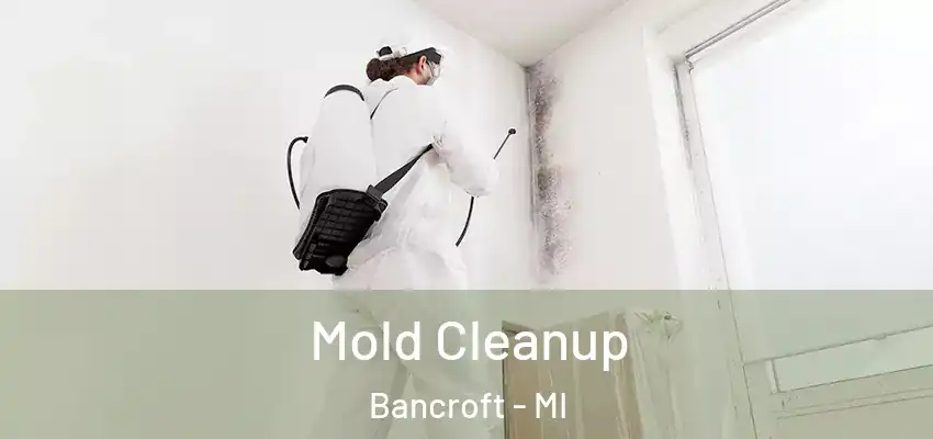  Mold Cleanup Bancroft - MI