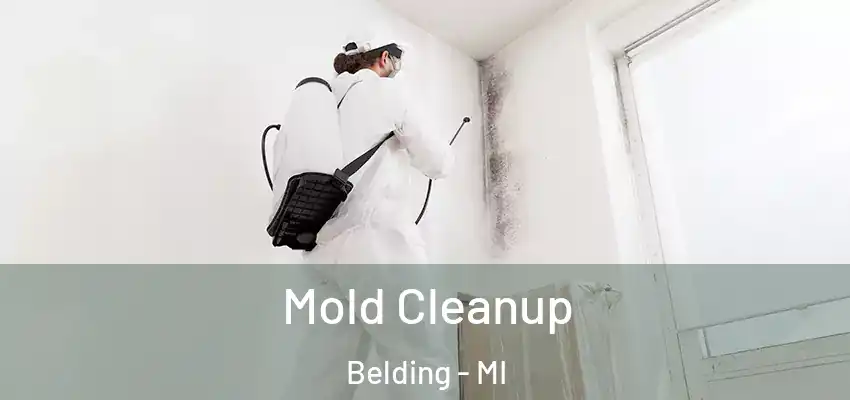 Mold Cleanup Belding - MI