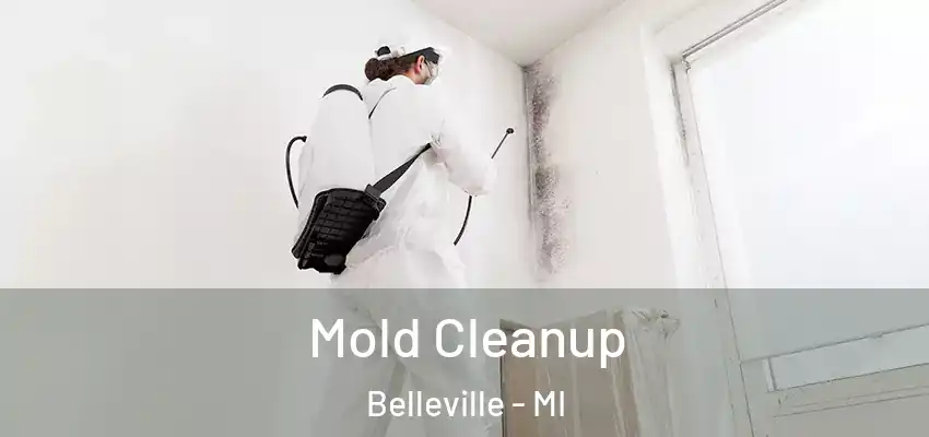  Mold Cleanup Belleville - MI
