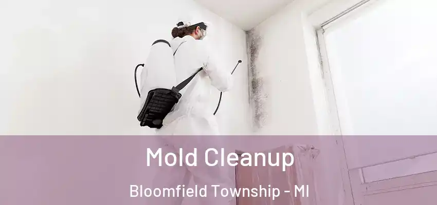  Mold Cleanup Bloomfield Township - MI