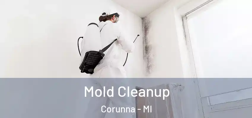  Mold Cleanup Corunna - MI
