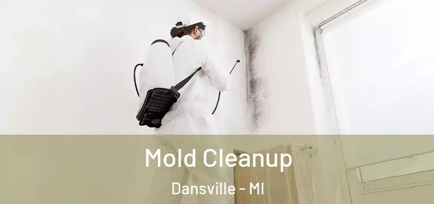  Mold Cleanup Dansville - MI