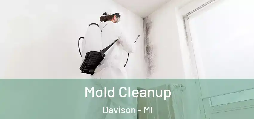  Mold Cleanup Davison - MI