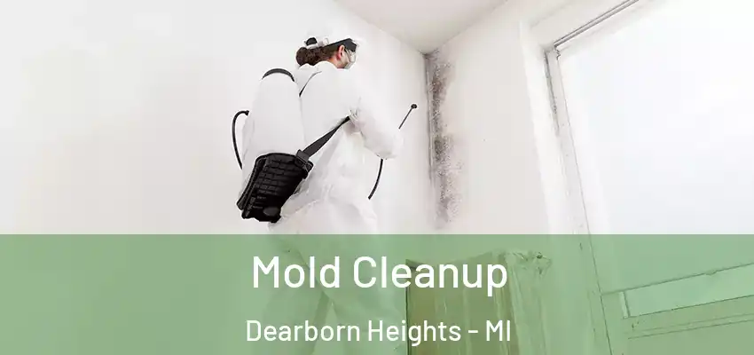  Mold Cleanup Dearborn Heights - MI