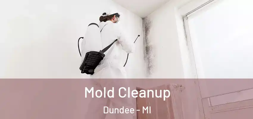 Mold Cleanup Dundee - MI